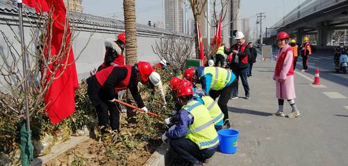 西安第二市政工程公司雁南二路开展“拥抱春天绿化古城”植树活动